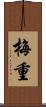 梅重 Scroll