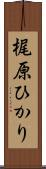 梶原ひかり Scroll