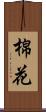 棉花 Scroll