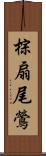 棕扇尾鶯 Scroll