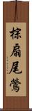 棕扇尾鶯 Scroll