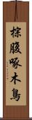 棕腹啄木鳥 Scroll