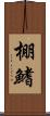 棚鰭 Scroll