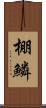 棚鱗 Scroll