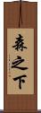 森之下 Scroll