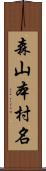 森山本村名 Scroll