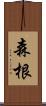 森根 Scroll