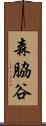 森脇谷 Scroll