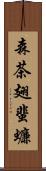 森茶翅蜚蠊 Scroll