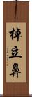 棹立鼻 Scroll