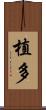 植多 Scroll