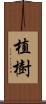 植樹 Scroll