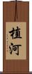 植河 Scroll