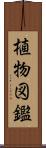 植物図鑑 Scroll