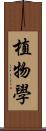 植物學 Scroll