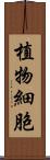 植物細胞 Scroll