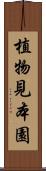 植物見本園 Scroll
