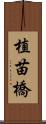 植苗橋 Scroll