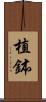 植鉢 Scroll