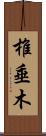 椎垂木 Scroll