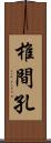 椎間孔 Scroll