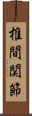 椎間関節 Scroll