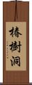 椿樹洞 Scroll