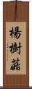 楊樹菇 Scroll