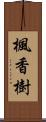 楓香樹 Scroll