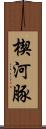 楔河豚 Scroll