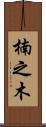 楠之木 Scroll