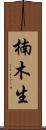 楠木生 Scroll