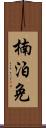 楠泊免 Scroll