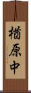 楢原中 Scroll