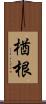 楢根 Scroll