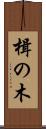 楫の木 Scroll