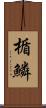 楯鱗 Scroll