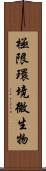 極限環境微生物 Scroll