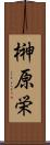 榊原栄 Scroll