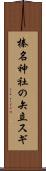 榛名神社の矢立スギ Scroll