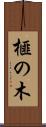 榧の木 Scroll
