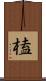 榼 Scroll