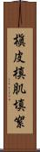 槇皮 Scroll