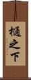 樋之下 Scroll