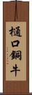 樋口銅牛 Scroll