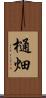 樋畑 Scroll