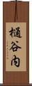 樋谷内 Scroll