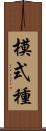模式種 Scroll