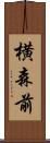 横森前 Scroll