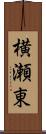 横瀬東 Scroll